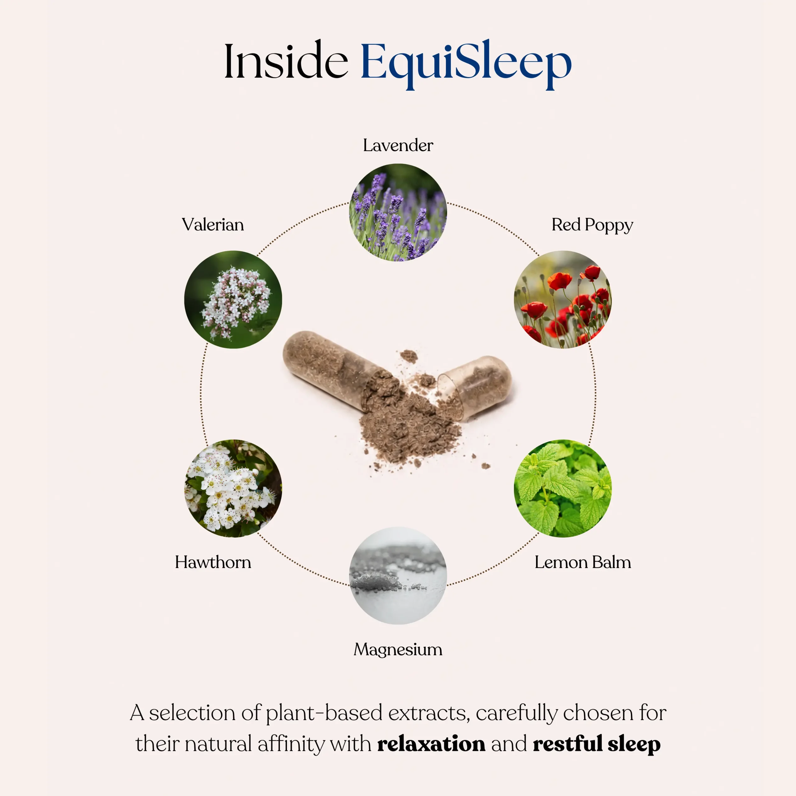 EquiSleep – Natural Supplement for Better Sleep - Image 4