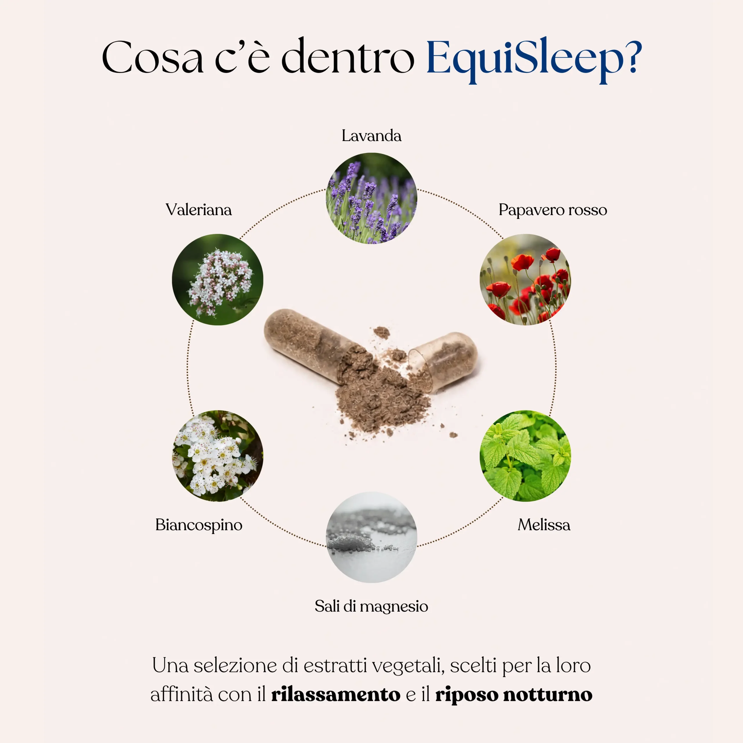 EquiSleep – Natural Supplement for Better Sleep - Image 3