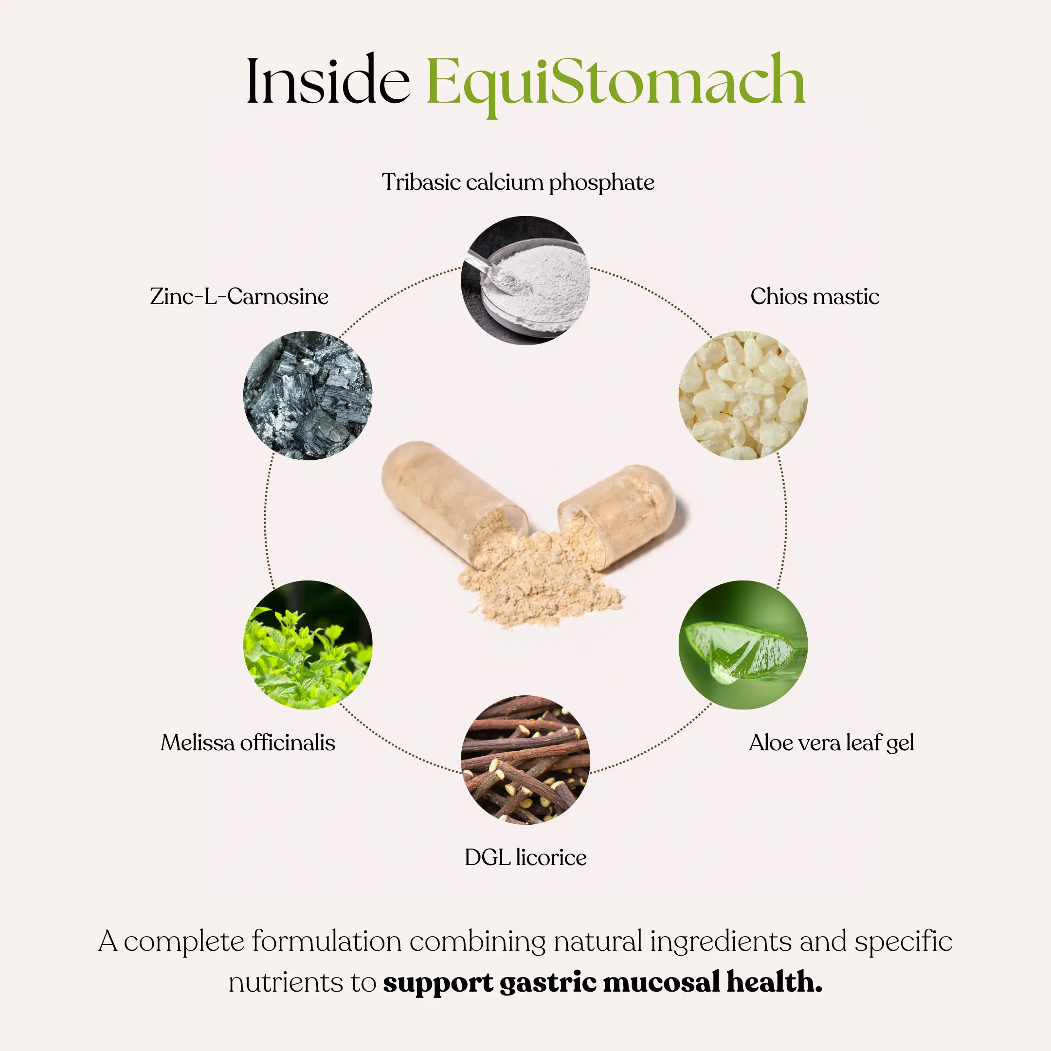 EquiStomach - Integratore per il benessere dello stomaco e della mucosa gastrica - immagine 4